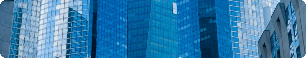 Financial Institutions